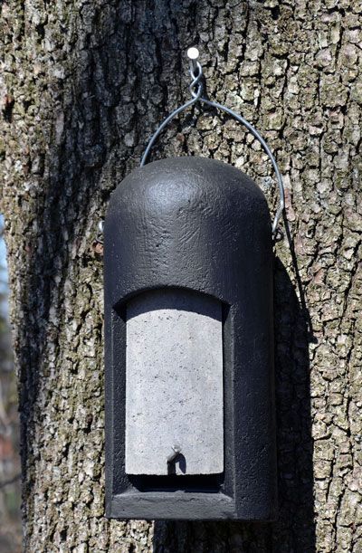 3FN CAJA NIDO ESPECIAL DE ENTRADA ESTRECHA 3