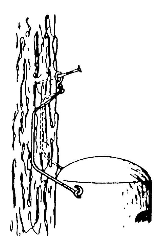 3FN CAJA NIDO ESPECIAL DE ENTRADA ESTRECHA 5