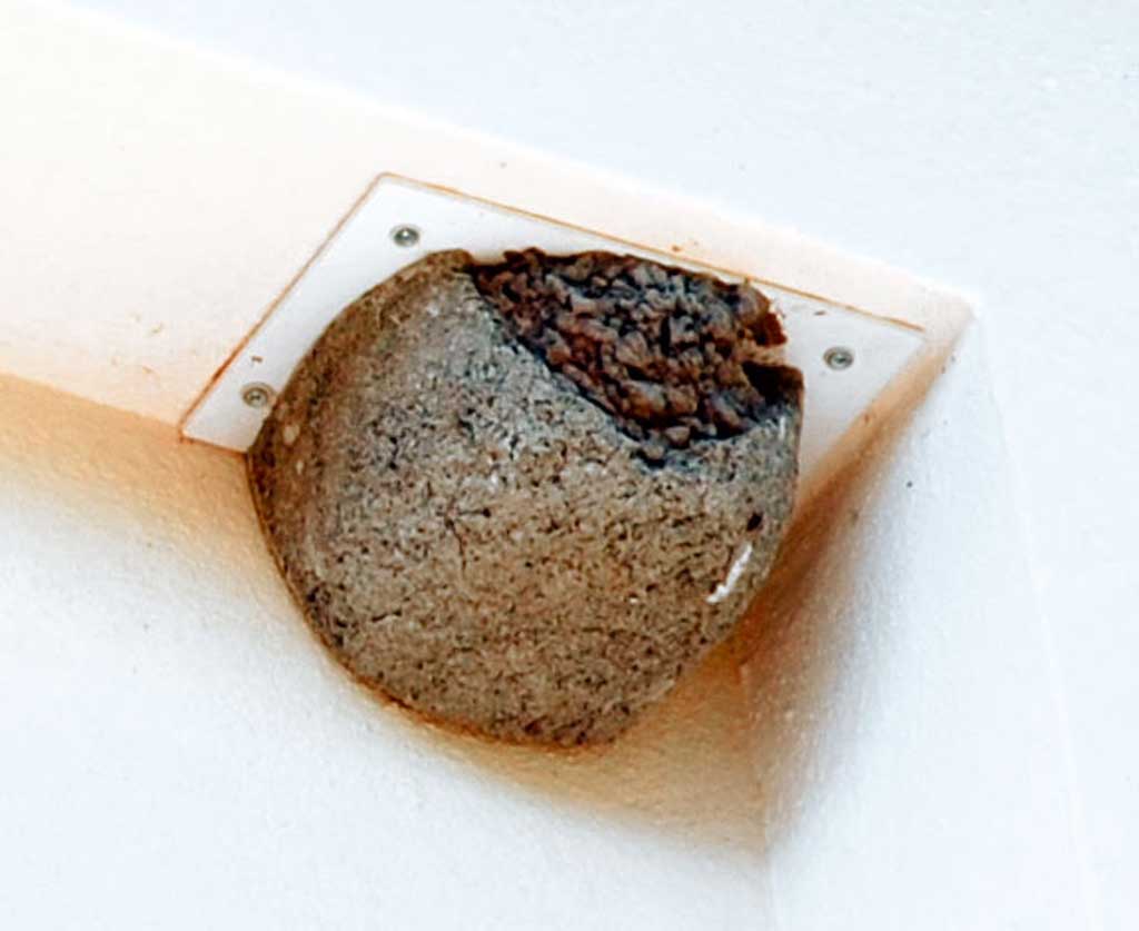 Nº 13B NIDO INACABADO PARA AVIÓN COMÚN CON SOPORTE DE PLÁSTICO 2