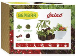 KIT DE HORTICULTURA URBANA "SALAD" 1