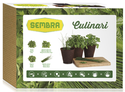 KIT DE HORTICULTURA URBANA "CULINARI" 1