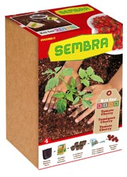 KIT DE HORTICULTURA URBANA "MI PRIMER HUERTO TOMATE CHERRY" 1