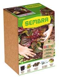 KIT DE HORTICULTURA URBANA "MI PRIMER HUERTO LECHUGA" 1