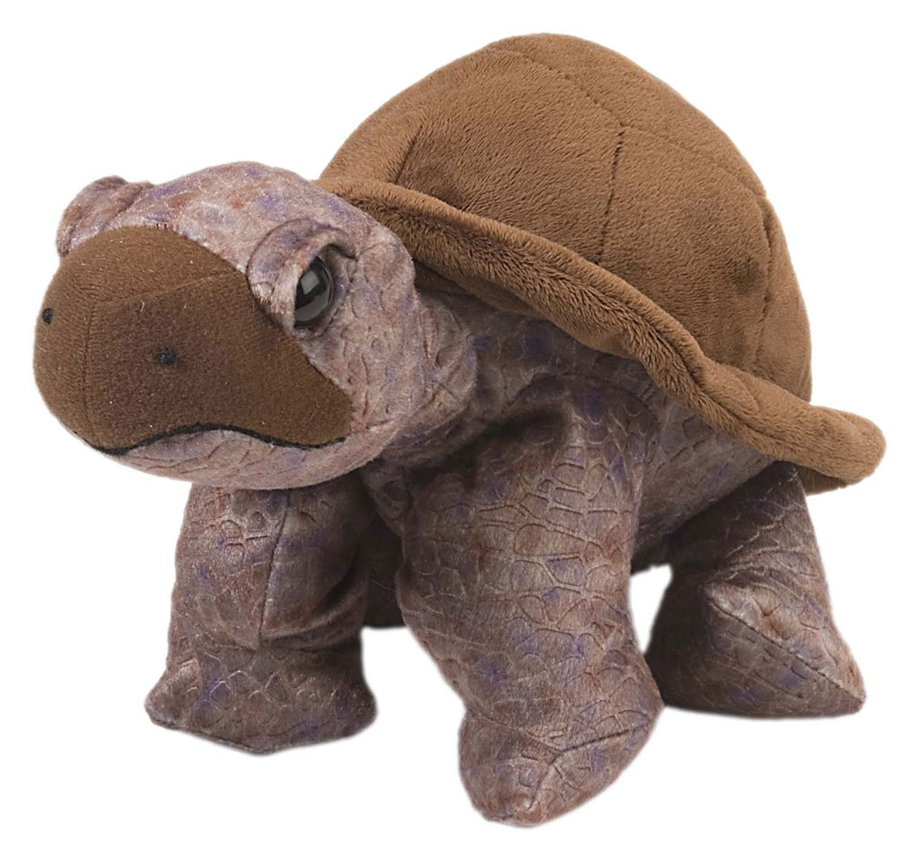 PELUCHE DE TORTUGA TERRESTRE