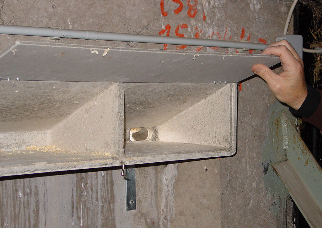 CAJA NIDO PARA VENCEJO EN FORMA DE CUÑA 3