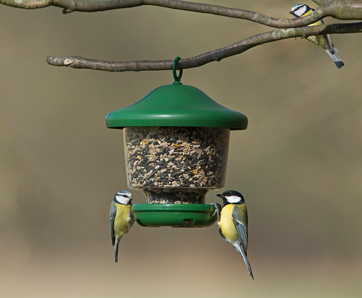 MF-1G COMEDERO MY FAVOURITS PARA SEMILLAS 3