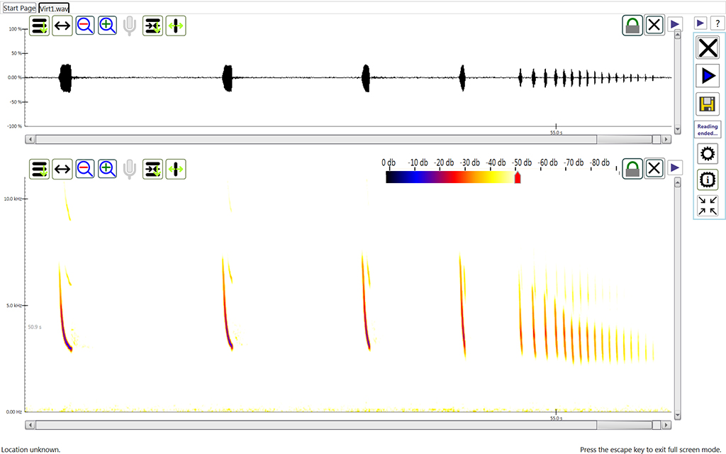 PETTERSSON BATSOUND TOUCH SOFTWARE 2