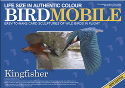 RECORTABLE BIRDMOBILE DE MARTÍN PESCADOR 1