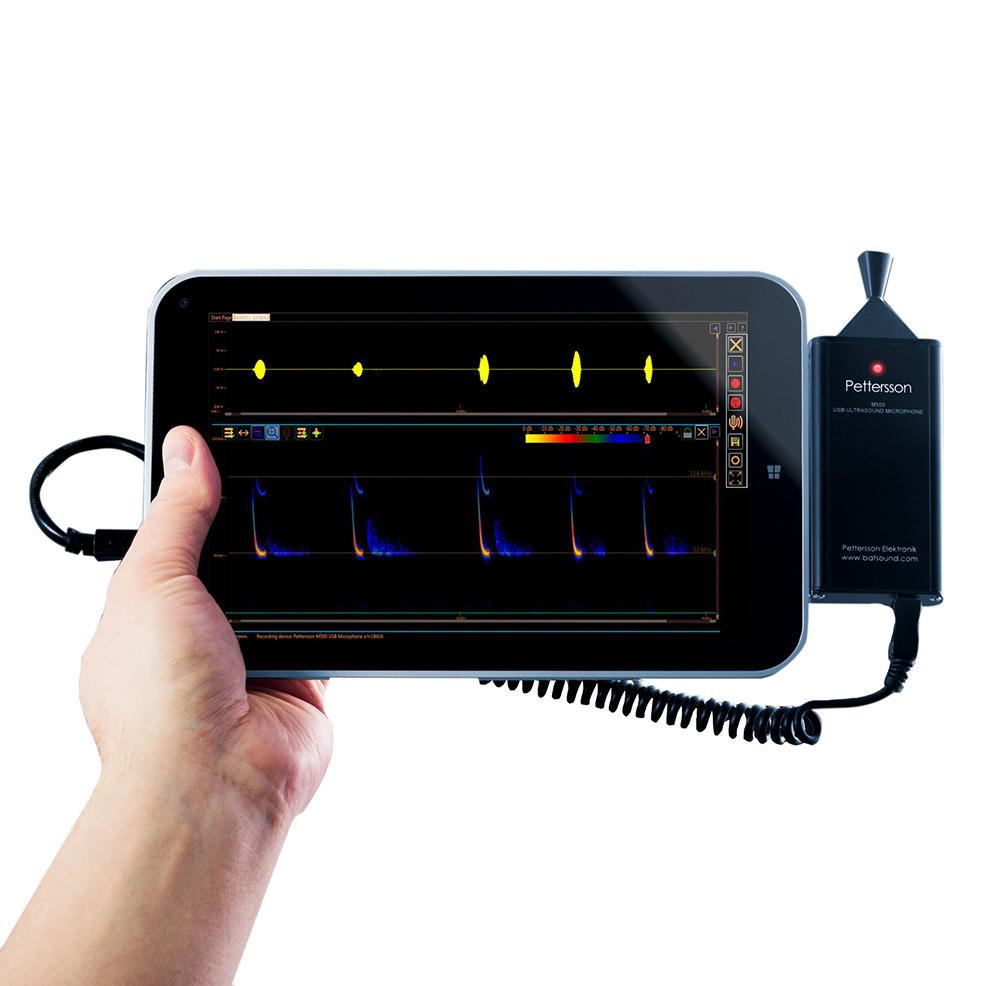 PETTERSSON M500-384 MICRÓFONO DE ULTRASONIDOS CON CONEXIÓN USB 1