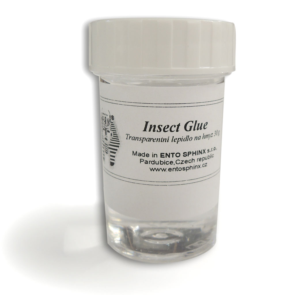 INSECT GLUE. PEGAMENTO TRANSPARENTE UNIVERSAL PARA INSECTOS