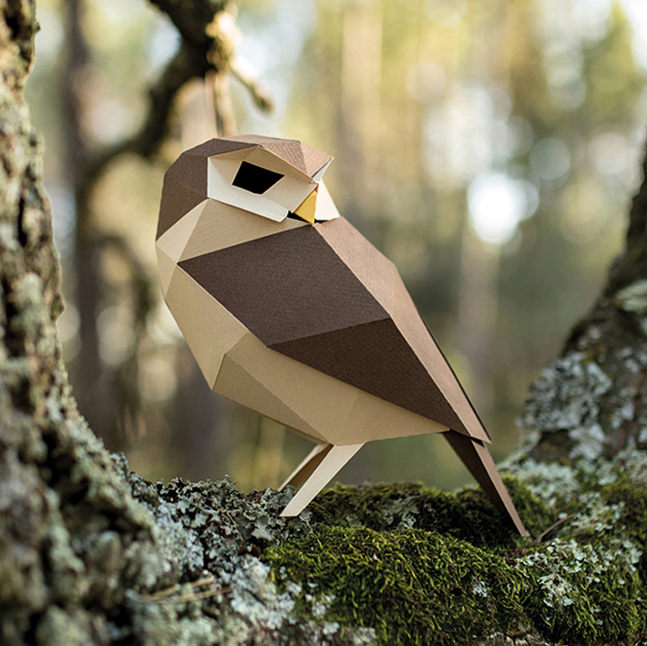 PLEGOPAPER - FIGURA RECORTABLE DE MOCHUELO EUROPEO (MUSSOL COMÚ) 2