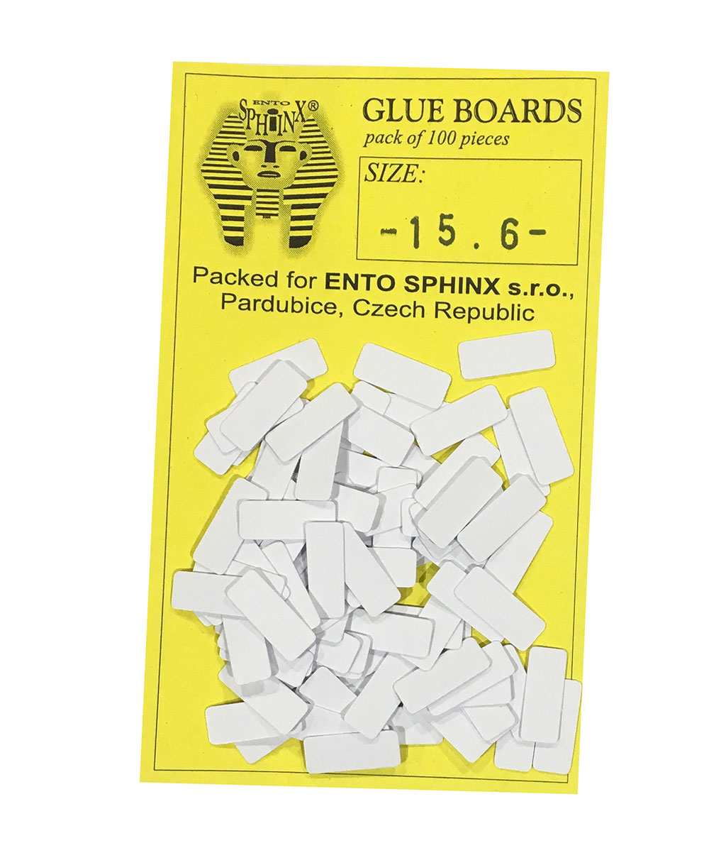 ETIQUETAS ENTOMOLÓGICAS DE MONTAJE PAPEL BRISTOL 16 x 7 1
