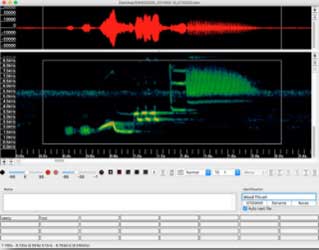 SOFTWARE DE ANÁLISIS BIOACÚSTICO E IDENTIFICACIÓN DE GRABACIONES DE SONIDOS Y ULTRASONIDOS EMITIDOS POR MURCIÉLAGOS KALEIDOSCOPE PRO DE WILDLIFE ACOUS 1