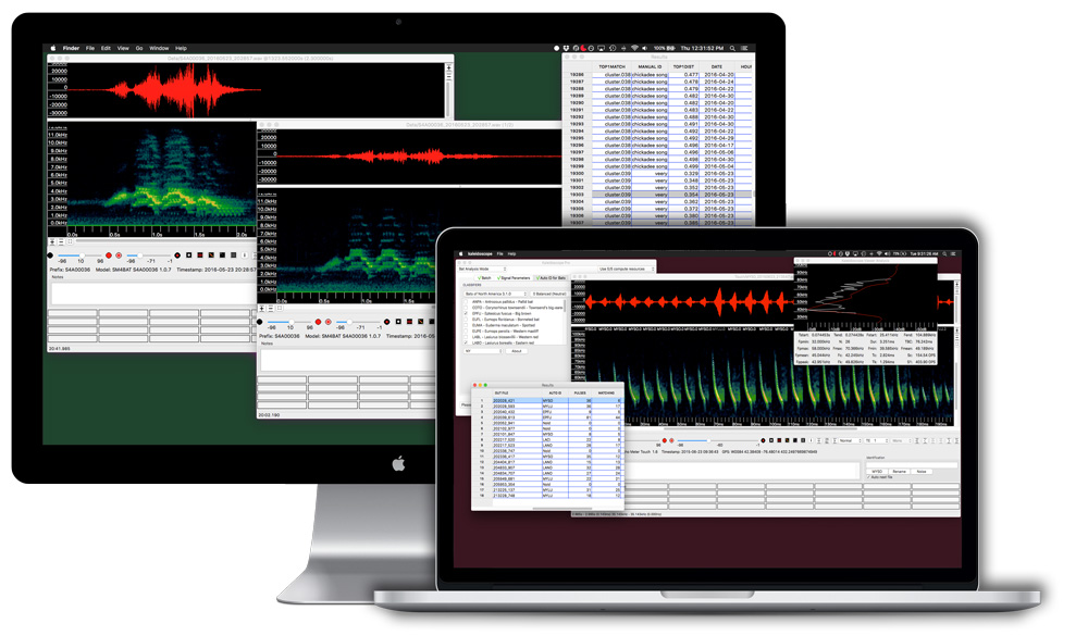 SOFTWARE DE ANÁLISIS BIOACÚSTICO E IDENTIFICACIÓN DE GRABACIONES DE SONIDOS Y ULTRASONIDOS EMITIDOS POR MURCIÉLAGOS KALEIDOSCOPE PRO DE WILDLIFE ACOUS 1