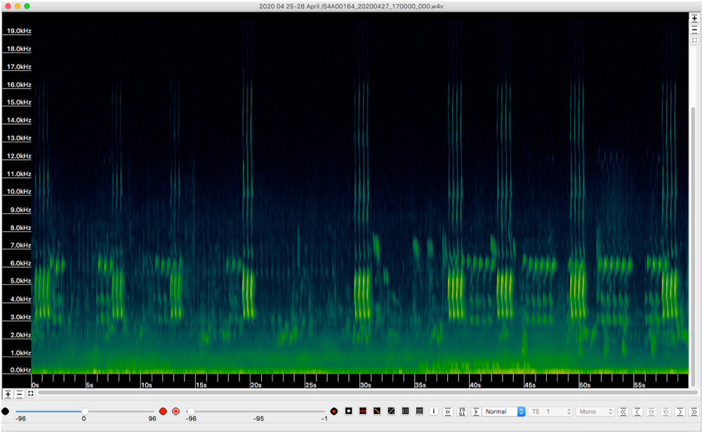 SOFTWARE DE ANÁLISIS BIOACÚSTICO E IDENTIFICACIÓN DE GRABACIONES DE SONIDOS Y ULTRASONIDOS EMITIDOS POR MURCIÉLAGOS KALEIDOSCOPE PRO DE WILDLIFE ACOUS 2