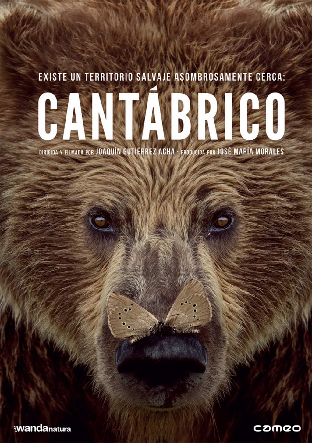 DVD CANTÁBRICO. LOS DOMINIOS DEL OSO 1