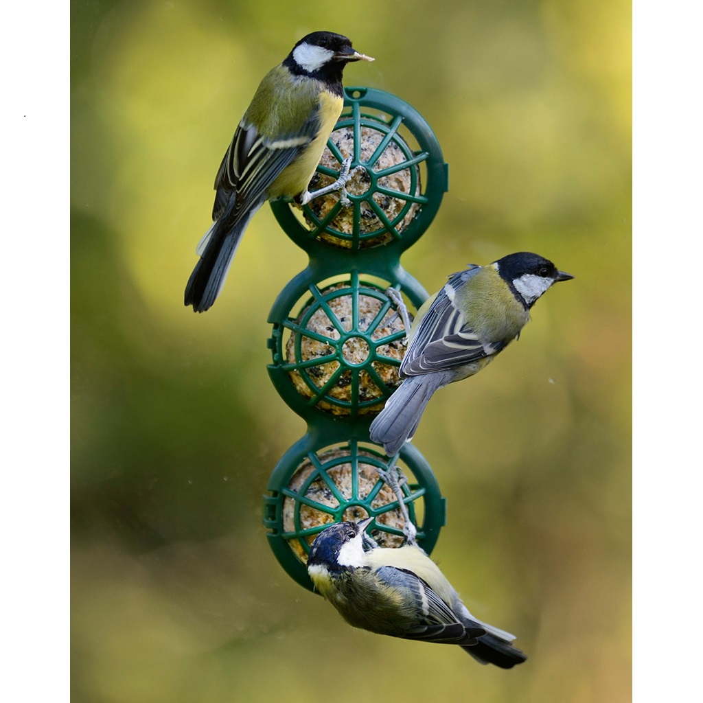 BB-2 CESTA TRIPLE PARA BOLAS DE SEBO PARA VENTANA 3