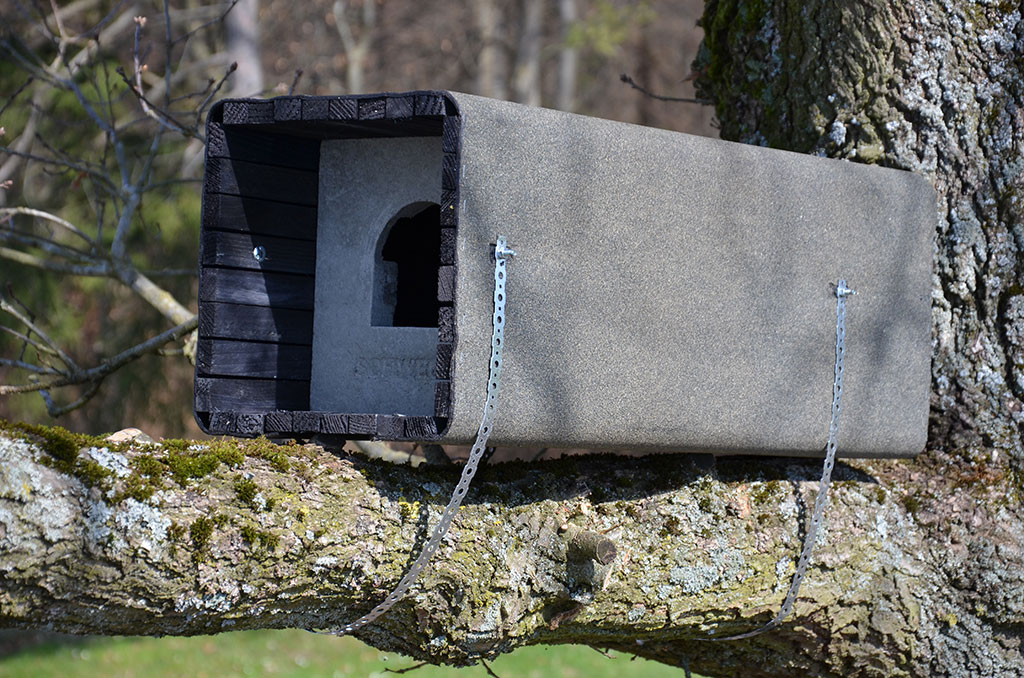 1WK CAJA NIDO CÁRABO PARA RAMA ÁRBOL 2