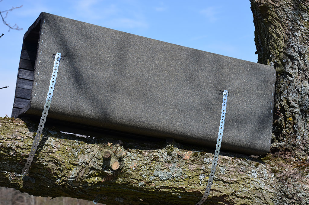 1WK CAJA NIDO CÁRABO PARA RAMA ÁRBOL 3