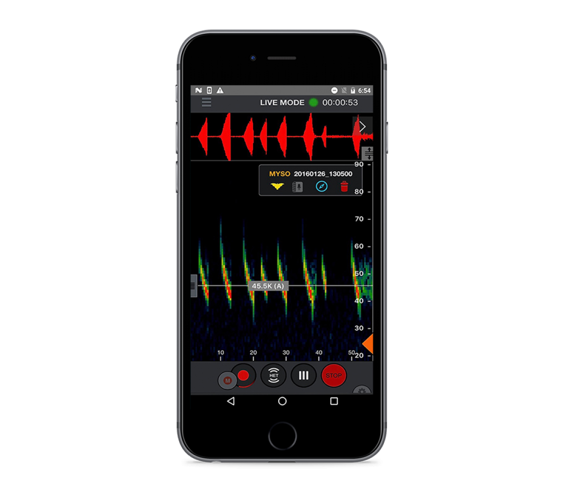 ECHO METER TOUCH 2 USB-C COMPATIBLE CON ANDROID E IOS PARA ESCUCHAR, GRABAR E IDENTIFICAR LOS ULTRASONIDOS DE MURCIÉLAGOS 4