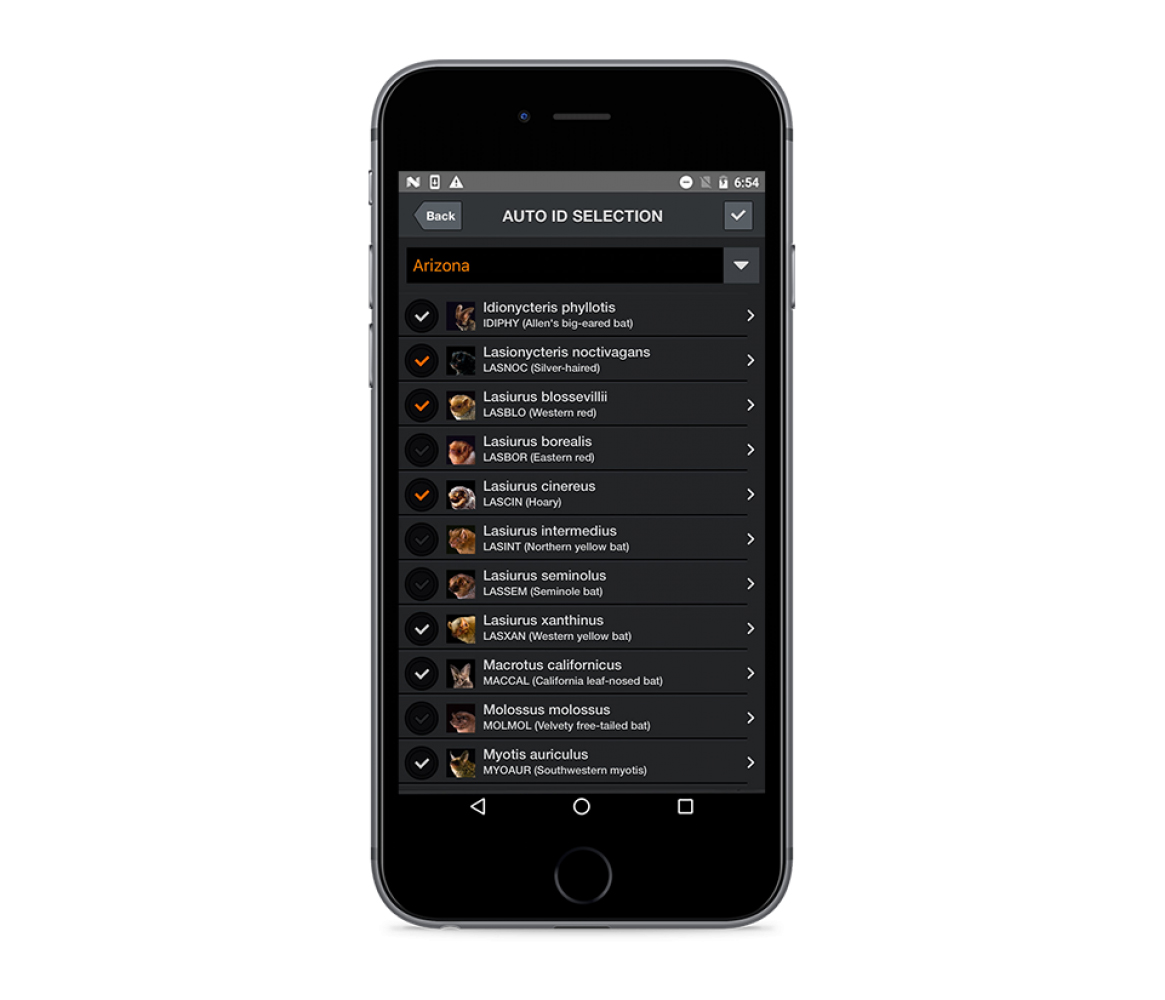 ECHO METER TOUCH 2 USB-C COMPATIBLE CON ANDROID E IOS PARA ESCUCHAR, GRABAR E IDENTIFICAR LOS ULTRASONIDOS DE MURCIÉLAGOS 5