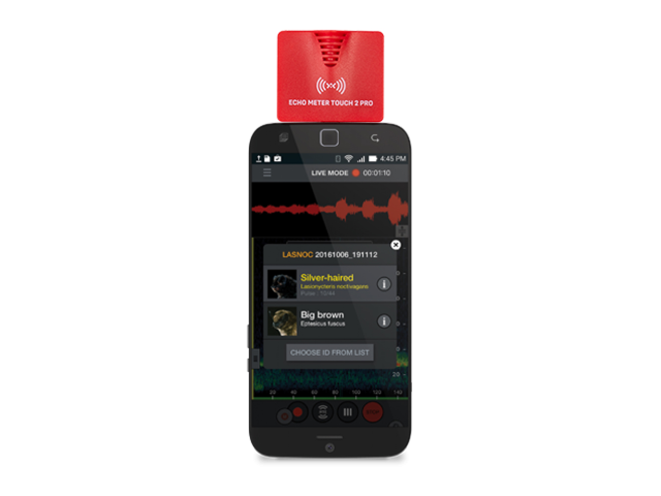 ECHO METER TOUCH 2 PRO USB-C COMPATIBLE CON ANDROID E IOS PARA ESCUCHAR, GRABAR E IDENTIFICAR LOS ULTRASONIDOS DE MURCIÉLAGOS 2