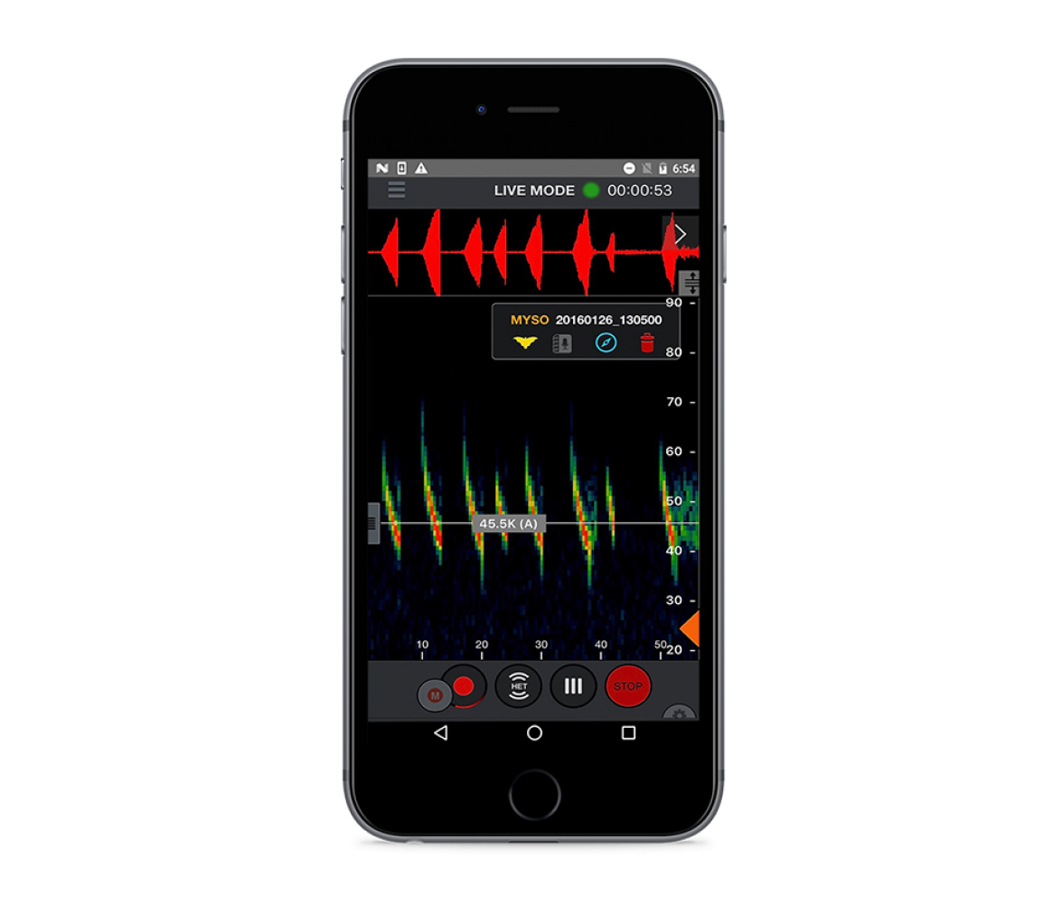 ECHO METER TOUCH 2 PRO USB-C COMPATIBLE CON ANDROID E IOS PARA ESCUCHAR, GRABAR E IDENTIFICAR LOS ULTRASONIDOS DE MURCIÉLAGOS 3