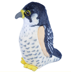 PELUCHE DE HALCÓN PEREGRINO / FALCÓ PEREGRÍ CON CANTO 2