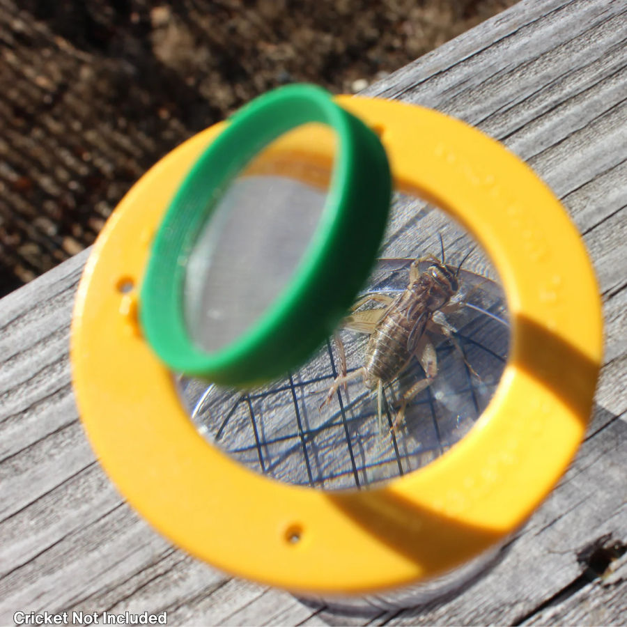 VASO LUPA PARA LA OBSERVACIÓN DE INSECTOS 2