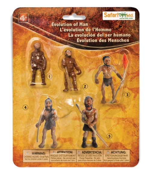 FIGURAS EVOLUCIÓN DEL HOMBRE        1