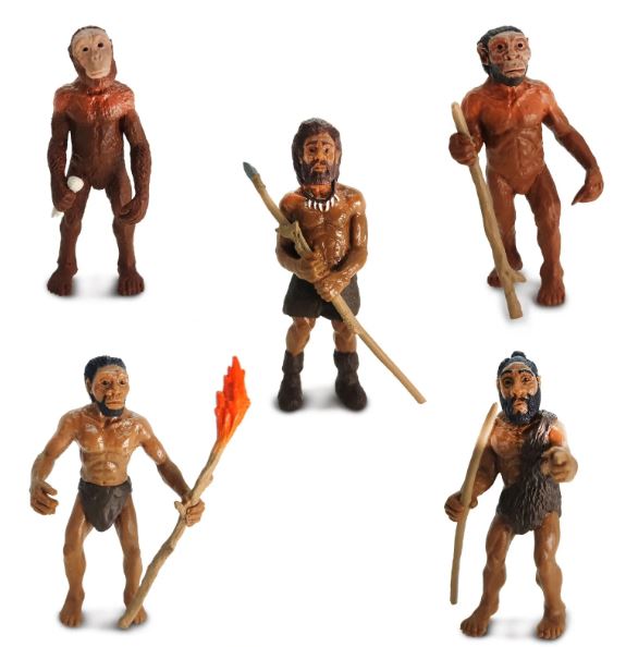 FIGURAS EVOLUCIÓN DEL HOMBRE        2