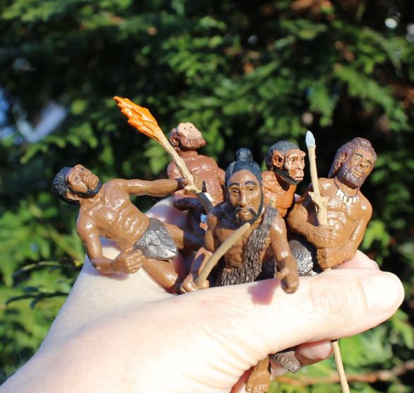 FIGURAS EVOLUCIÓN DEL HOMBRE        3