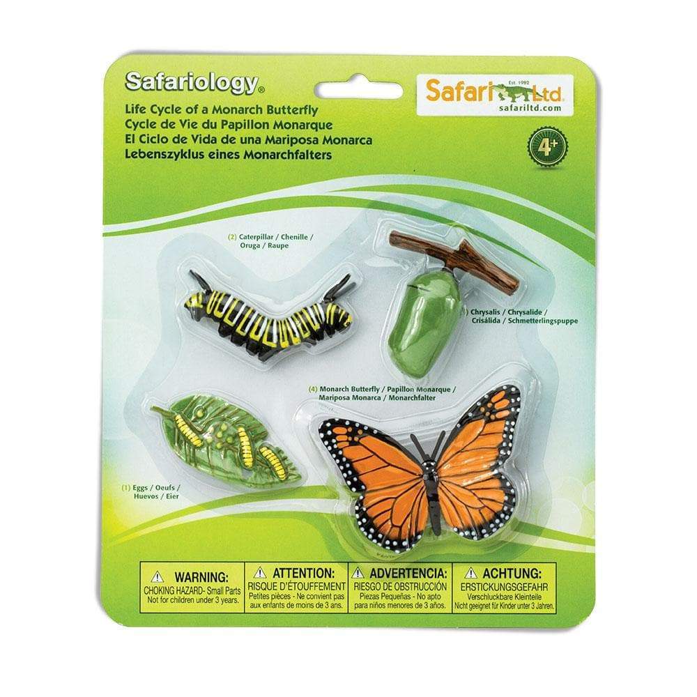 FIGURAS CICLO DE LA VIDA - MARIPOSA MONARCA