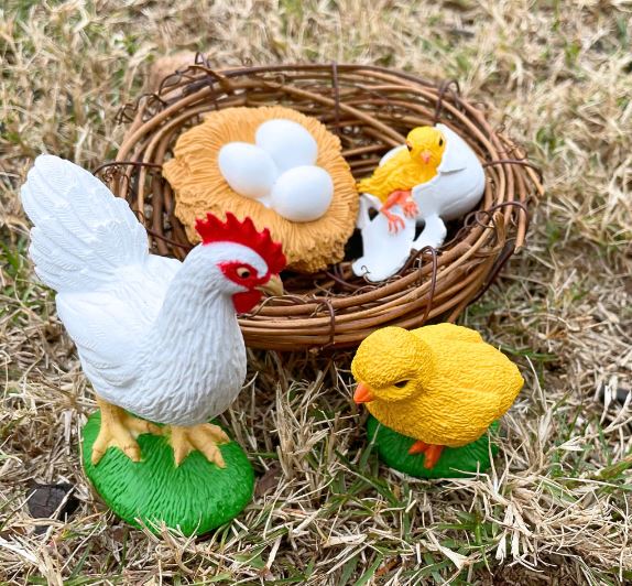 FIGURAS CICLO DE LA VIDA - GALLINA 3