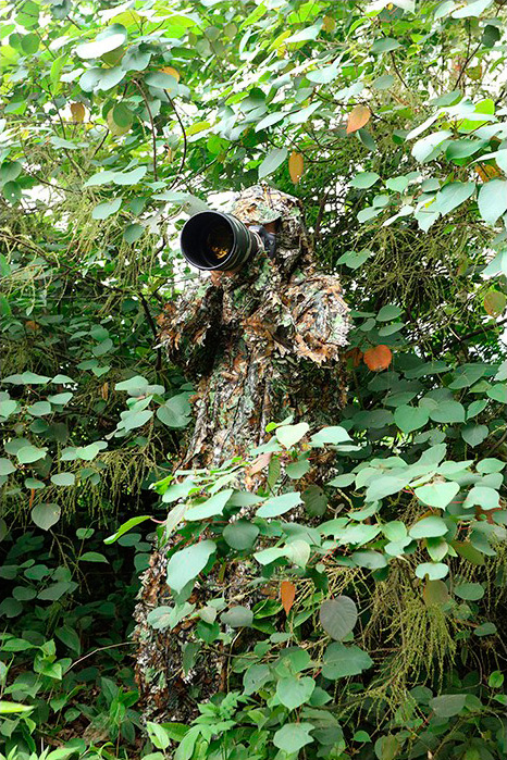 TRAGOPAN TRAJE CAMUFLAJE 1