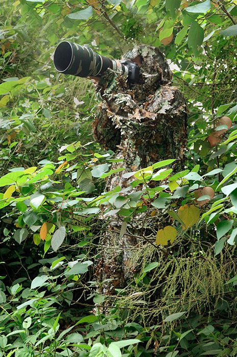 TRAGOPAN TRAJE CAMUFLAJE 2