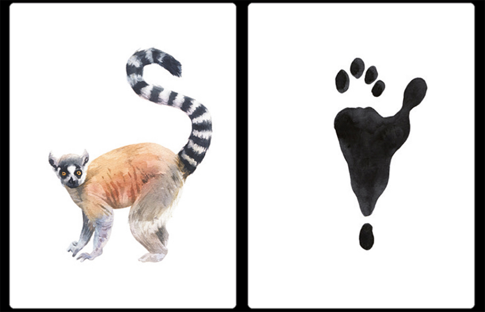 DESCUBRE LA HUELLA. EMPAREJA 25 ANIMALES CON SUS HUELLAS 2