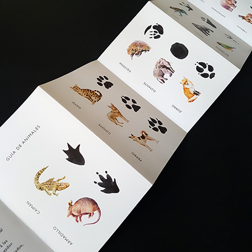 DESCUBRE LA HUELLA. EMPAREJA 25 ANIMALES CON SUS HUELLAS 4