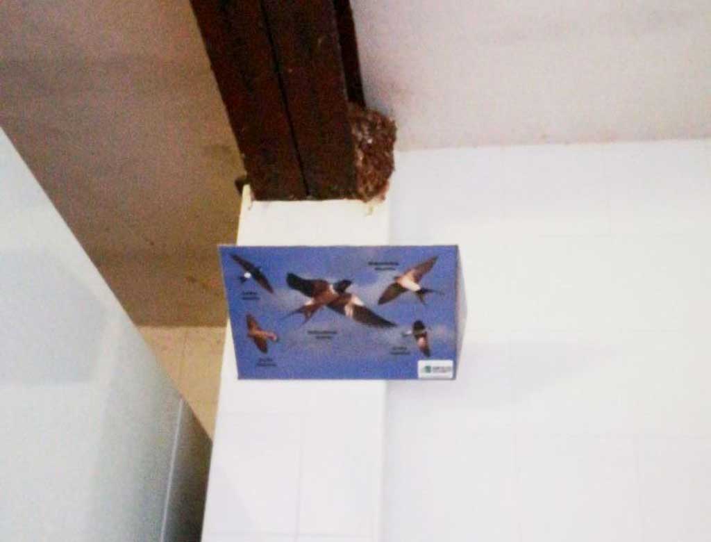 RECOGEDOR DE EXCREMENTOS DE GOLONDRINAS MODELO VOLANDO 2