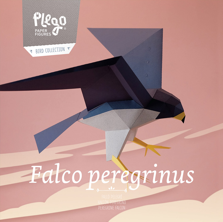 PLEGOPAPER- FIGURA RECORTABLE DE HALCÓN PEREGRINO (FALCÓ PELEGRÍ) 1