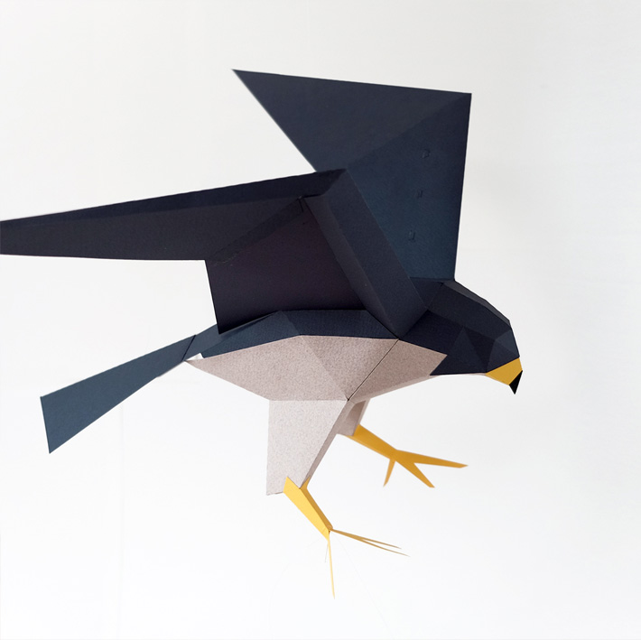 PLEGOPAPER- FIGURA RECORTABLE DE HALCÓN PEREGRINO (FALCÓ PELEGRÍ) 3
