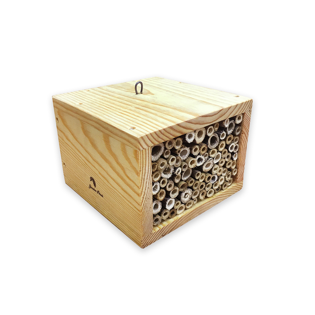 REFUGIO PARA INSECTOS MODELO CUBO 2