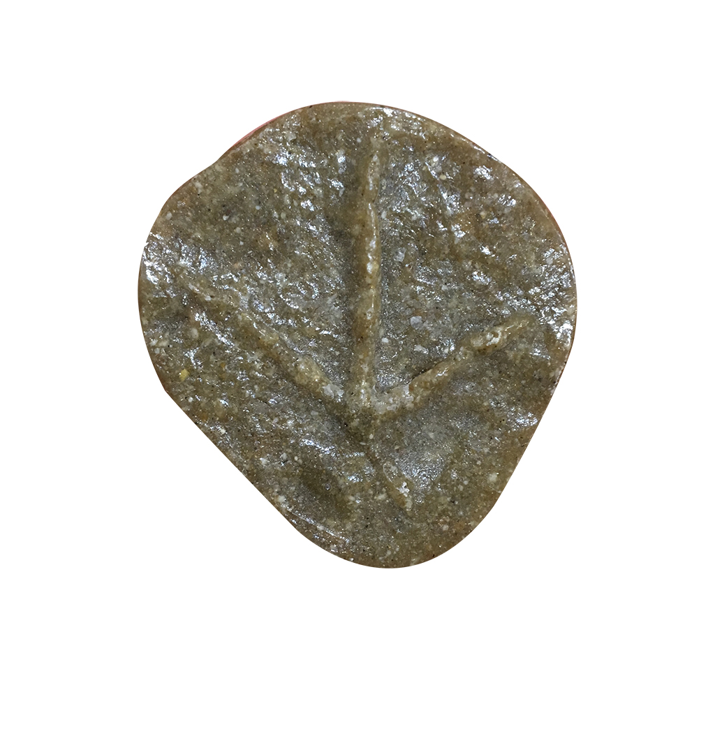 MOLDE HUELLA TRINGA OCHROPUS (ANDARRÍOS GRANDE, XIVITA, BILURICO ALINEGRO, KULISKA ILUN) 1
