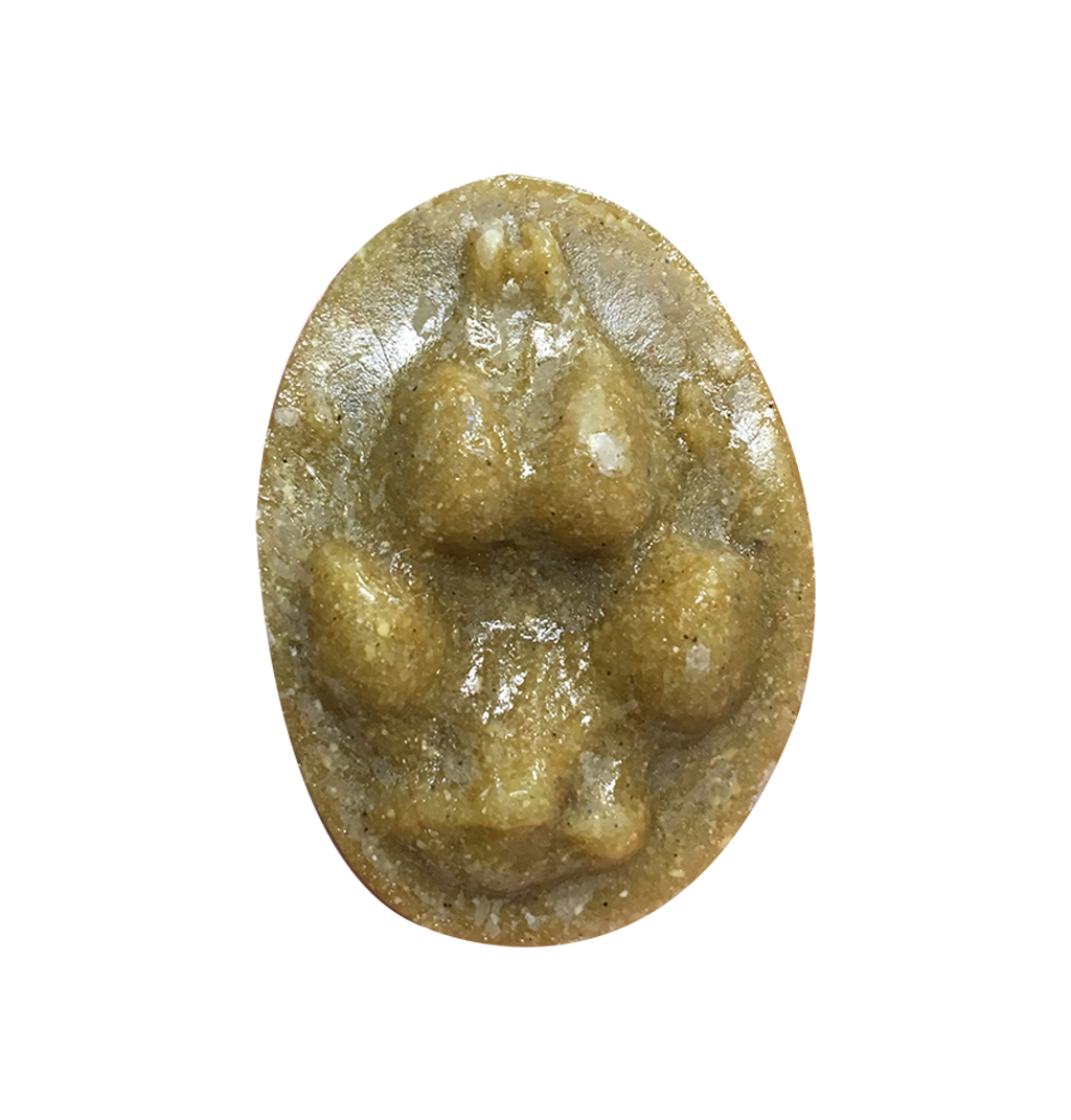 MOLDE HUELLA PIE VULPES VULPES (ZORRO, GUINEU, RAPOSO, AZERI ARRUNTA) 1