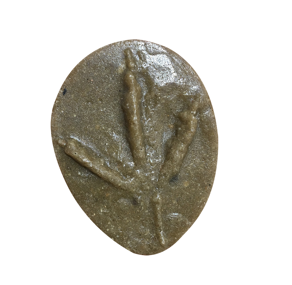 MOLDE HUELLA ARDEOLA RALLOIDES (GARCILLA CANGREJERA, MARTINET ROS, GARZA GANGREXEIRA, LERTXUNTXO KARRAMARROZALE)