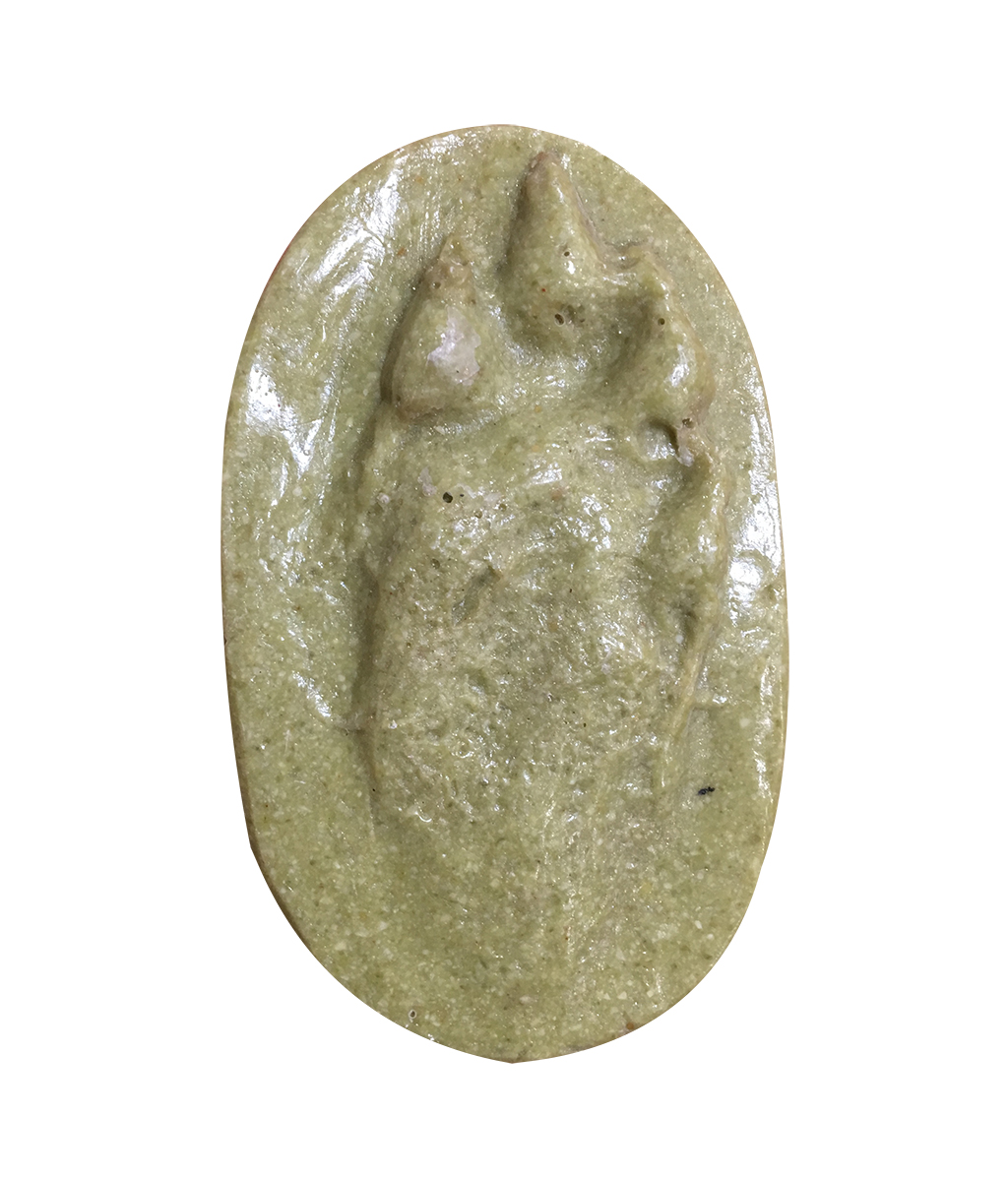 MOLDE HUELLA LEPUS EUROPAEUS (LIEBRE EUROPEA, LLEBRE EUROPEA, LEBRE EUROPEA, ERBI ARRUNT)