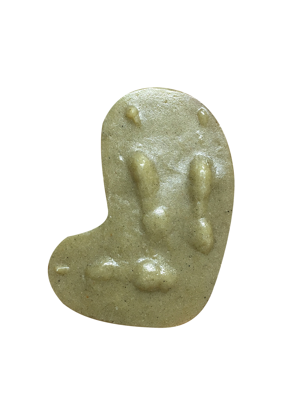 MOLDE HUELLA BUBO BUBO (BÚHO REAL, DUC, BUFO REAL, HONTZA HANDI) 1