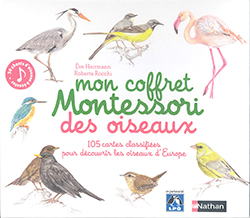 MON COFFRET MONTESSORI DES OISEAUX 1