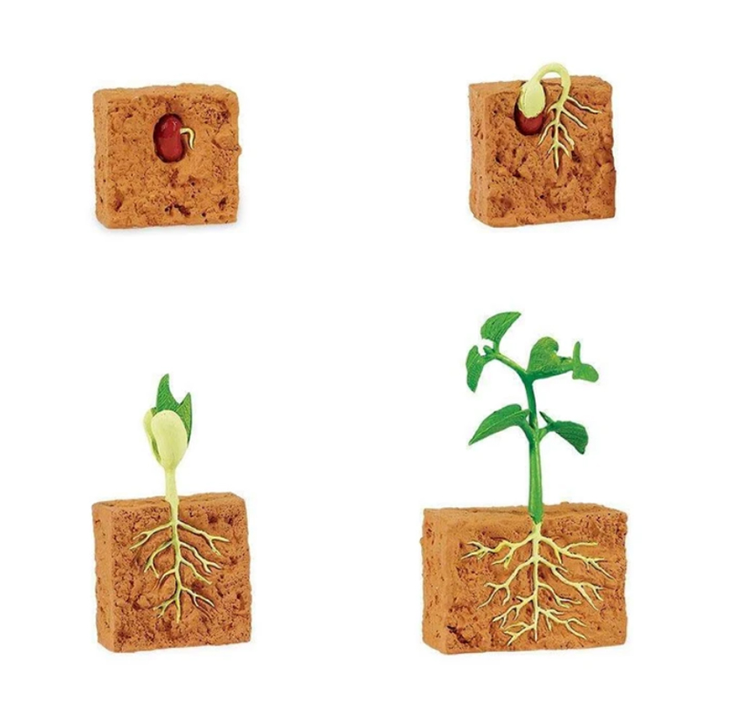 FIGURAS CICLO DE LA VIDA - JUDIA 2