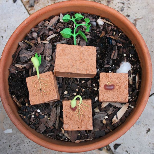 FIGURAS CICLO DE LA VIDA - JUDIA 3